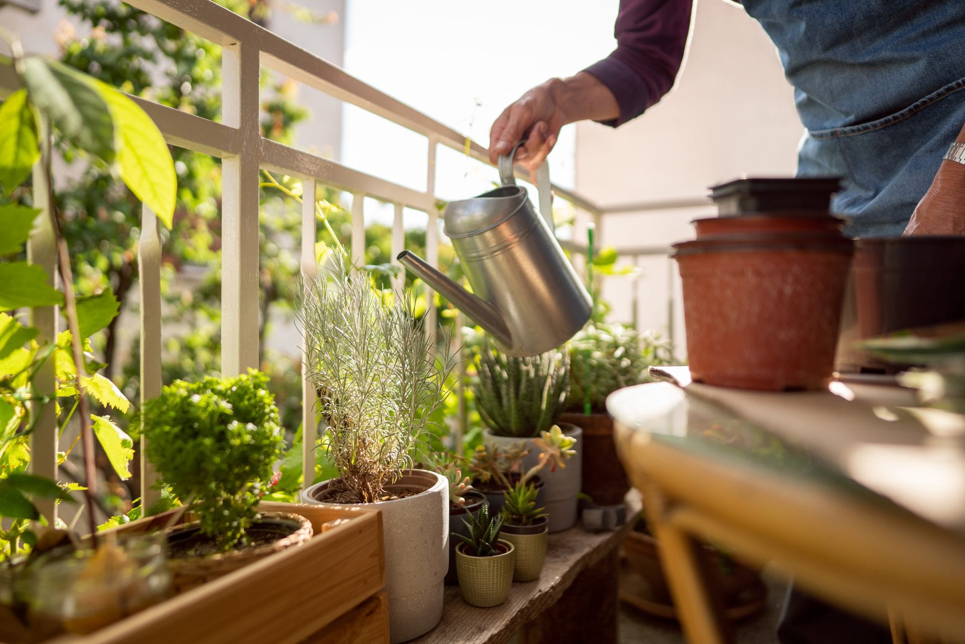 A watering can tipped over pots of succulents and herbs on a sunny apartment balcony
