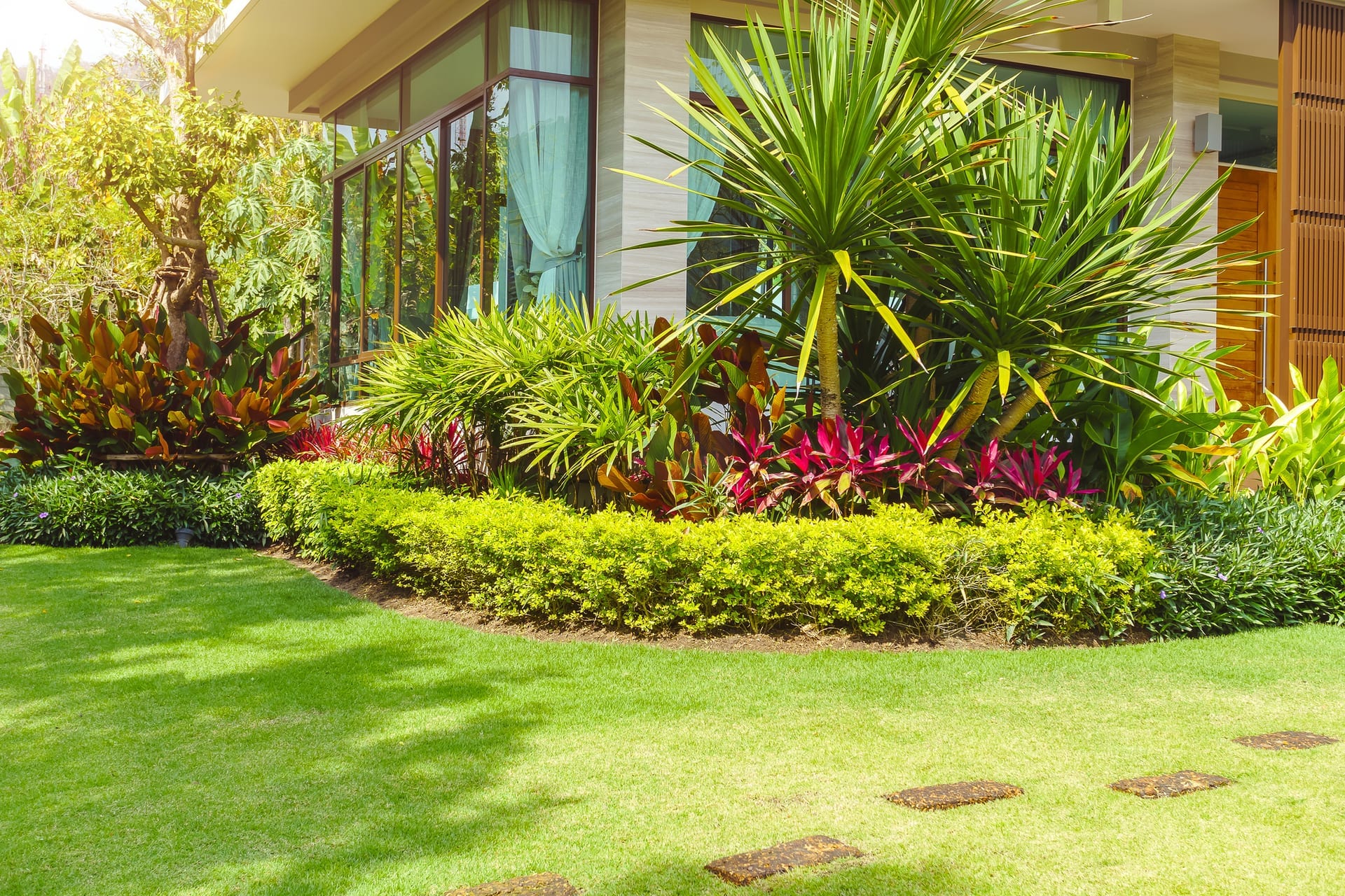 Presentation ready garden with clipped borders, structured planting and a clean lawn edge